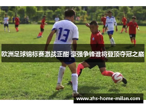 欧洲足球锦标赛激战正酣 豪强争锋谁将登顶夺冠之巅